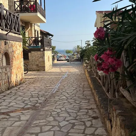 Cezar فيلة بساكوذيا